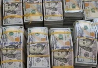 5c9c4d7b-8812-4f74-aef7-e6299188027c